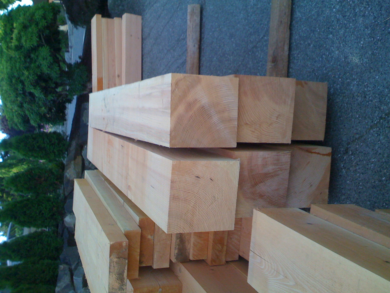 Timbers