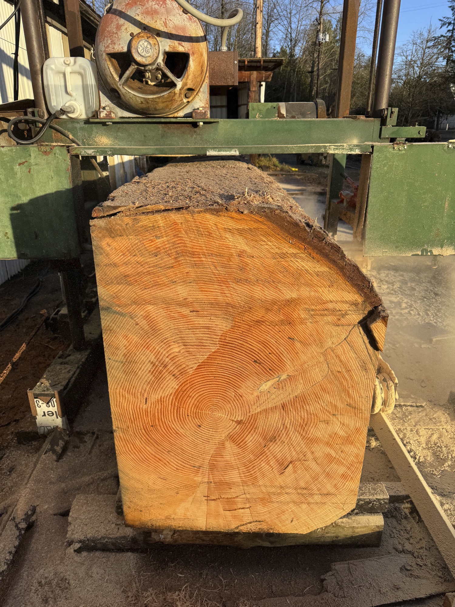 Firing Up the Bandsaw